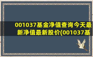 001037基金净值查询今天最新净值最新股价(001037基金行情)-图1