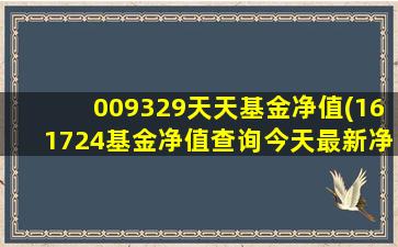 009329天天基金净值(161724基金净值查询今天最新净值)-图1