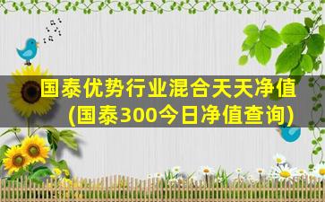 国泰优势行业混合天天净值(国泰300今日净值查询)-图1