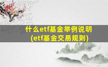 什么etf基金举例说明(etf基金交易规则)-图1