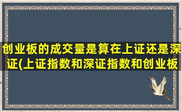 创业板的成交量是算在上证还是深证(上证指数和深证指数和创业板)-图1