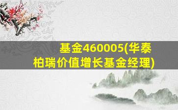 基金460005(华泰柏瑞价值增长基金经理)-图1