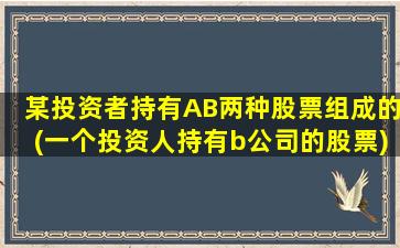 某投资者持有AB两种股票组成的(一个投资人持有b公司的股票)-图1