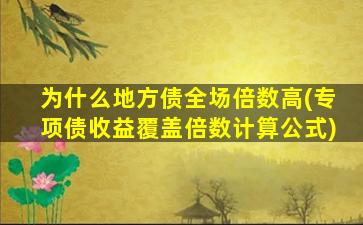 为什么地方债全场倍数高(专项债收益覆盖倍数计算公式)-图1