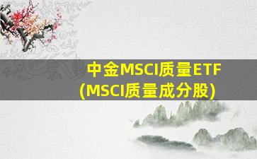 中金MSCI质量ETF(MSCI质量成分股)-图1