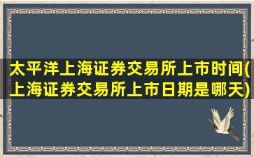 太平洋上海证券交易所上市时间(上海证券交易所上市日期是哪天)-图1