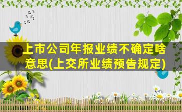 上市公司年报业绩不确定啥意思(上交所业绩预告规定)-图1