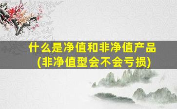 什么是净值和非净值产品(非净值型会不会亏损)-图1