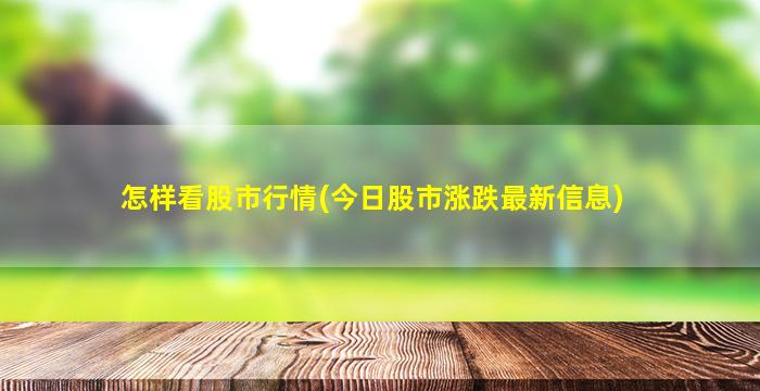 怎样看股市行情(今日股市涨跌最新信息)-图1