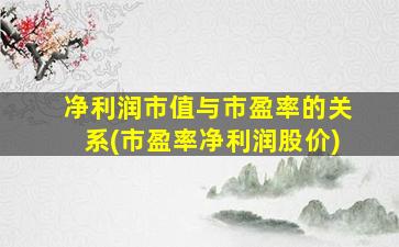 净利润市值与市盈率的关系(市盈率净利润股价)-图1