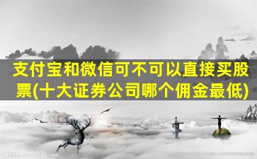 支付宝和微信可不可以直接买股票(十大证券公司哪个佣金最低)-图1