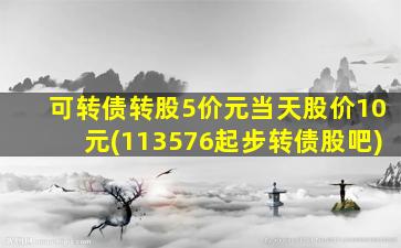 可转债转股5价元当天股价10元(113576起步转债股吧)-图1