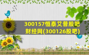 300157恒泰艾普股吧财经网(300126股吧)-图1