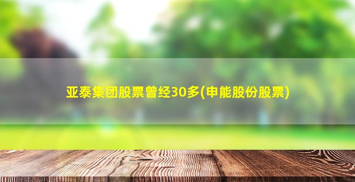 亚泰集团股票曾经30多(申能股份股票)-图1