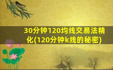 30分钟120均线交易法精化(120分钟k线的秘密)-图1