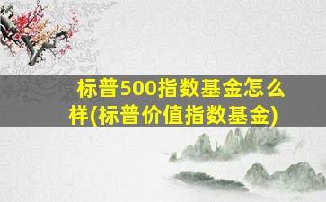 标普500指数基金怎么样(标普价值指数基金)-图1