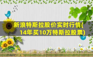 新浪特斯拉股价实时行情(14年买10万特斯拉股票)-图1