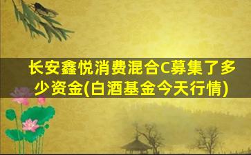 长安鑫悦消费混合C募集了多少资金(白酒基金今天行情)-图1