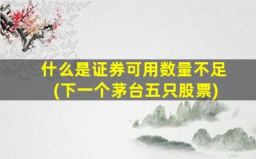 什么是证券可用数量不足(下一个茅台五只股票)-图1