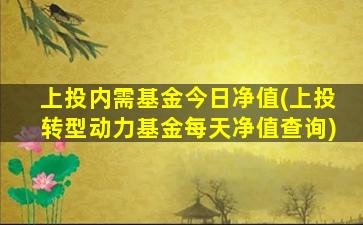 上投内需基金今日净值(上投转型动力基金每天净值查询)-图1