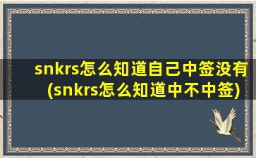 snkrs怎么知道自己中签没有(snkrs怎么知道中不中签)-图1