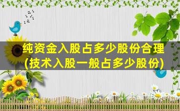 纯资金入股占多少股份合理(技术入股一般占多少股份)-图1