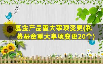 基金产品重大事项变更(私募基金重大事项变更20个)-图1