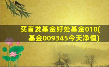 买首发基金好处基金010(基金009345今天净值)-图1