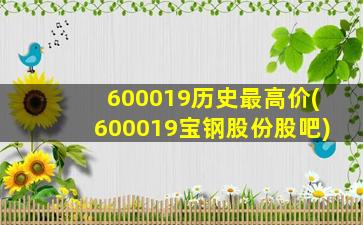 600019历史最高价(600019宝钢股份股吧)-图1