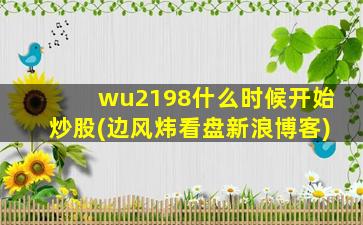 wu2198什么时候开始炒股(边风炜看盘新浪博客)-图1