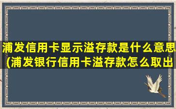 浦发信用卡显示溢存款是什么意思(浦发银行信用卡溢存款怎么取出)-图1