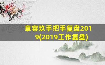 章容玖手把手复盘2019(2019工作复盘)-图1