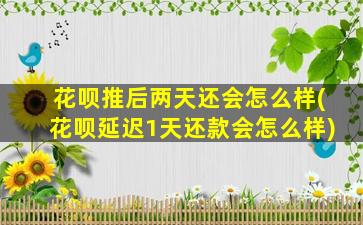 花呗推后两天还会怎么样(花呗延迟1天还款会怎么样)-图1