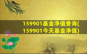 159901基金净值查询(159901今天基金净值)-图1