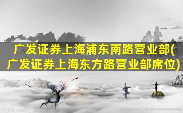 广发证券上海浦东南路营业部(广发证券上海东方路营业部席位)-图1