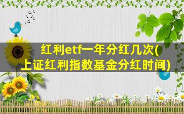 红利etf一年分红几次(上证红利指数基金分红时间)-图1