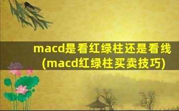 macd是看红绿柱还是看线(macd红绿柱买卖技巧)-图1