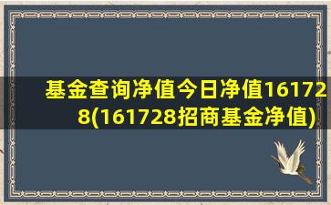 基金查询净值今日净值161728(161728招商基金净值)-图1