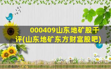 000409山东地矿股千评(山东地矿东方财富股吧)-图1