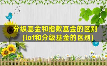 分级基金和指数基金的区别(lof和分级基金的区别)-图1