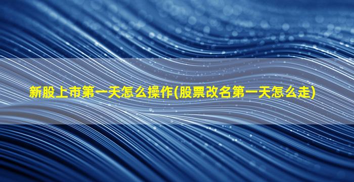 新股上市第一天怎么操作(股票改名第一天怎么走)-图1