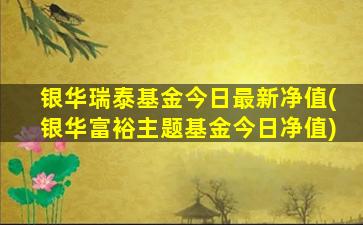 银华瑞泰基金今日最新净值(银华富裕主题基金今日净值)-图1