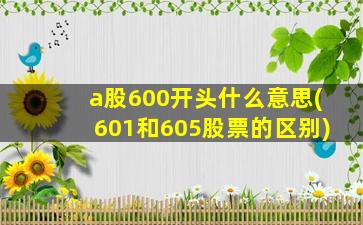 a股600开头什么意思(601和605股票的区别)-图1