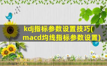 kdj指标参数设置技巧(macd均线指标参数设置)-图1