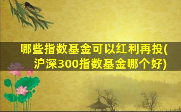 哪些指数基金可以红利再投(沪深300指数基金哪个好)-图1