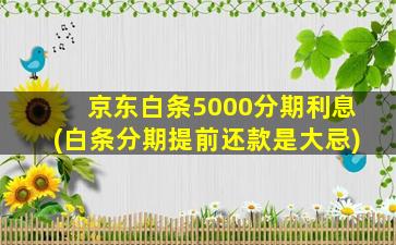 京东白条5000分期利息(白条分期提前还款是大忌)-图1