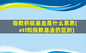 指数积极基金是什么意思(etf和指数基金的区别)-图1