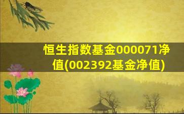 恒生指数基金000071净值(002392基金净值)-图1