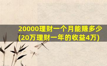 20000理财一个月能赚多少(20万理财一年的收益4万)-图1