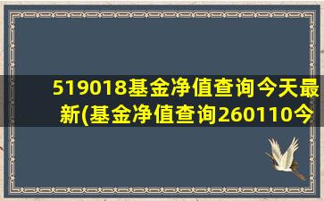 519018基金净值查询今天最新(基金净值查询260110今日净值)-图1